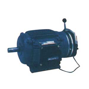Brake Motors