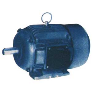 Electric Power Motor